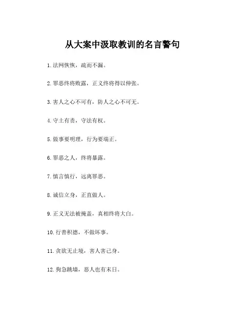 从大案中汲取教训的名言警句