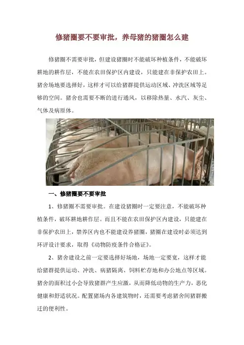 修猪圈要不要审批,养母猪的猪圈怎么建