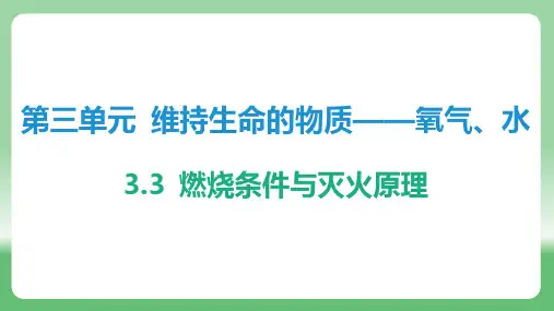 3.3 燃烧条件与灭火原理课件九年级化学科粤版(2024)上册