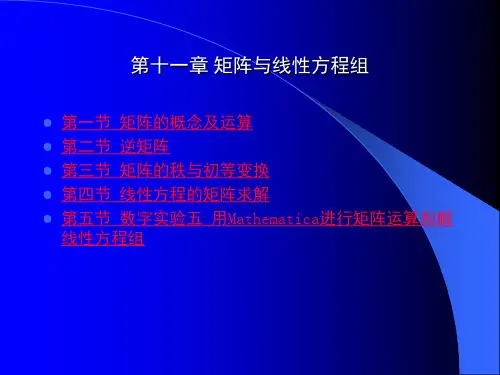 第十一章 矩阵与线性方程组