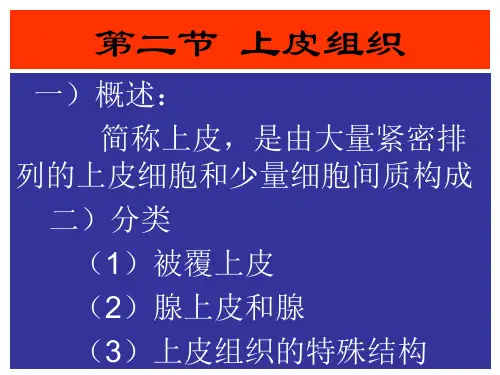 3.第二节     上皮组织