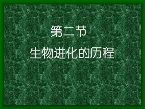 人教版 生物进化的历程 精品PPT课件1