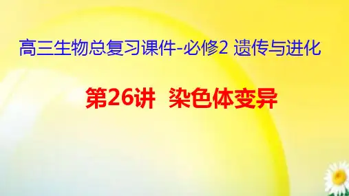 高三生物总复习课件-必修2 遗传与进化：第26讲 染色体变异