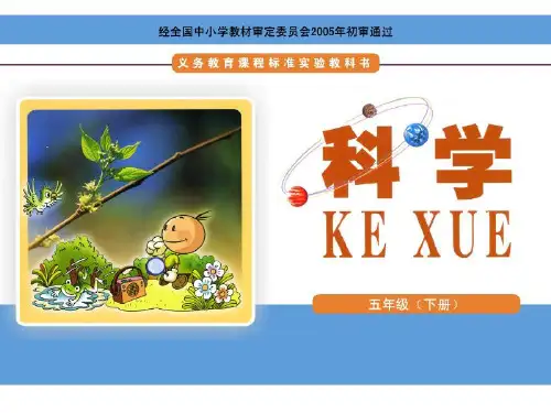 五年级下册科学课件-3.2 无处不在的微生物(7)-湘科版