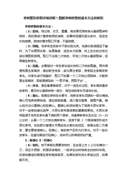 枣树整形修剪详细讲解！图解枣树修剪的基本方法和树形