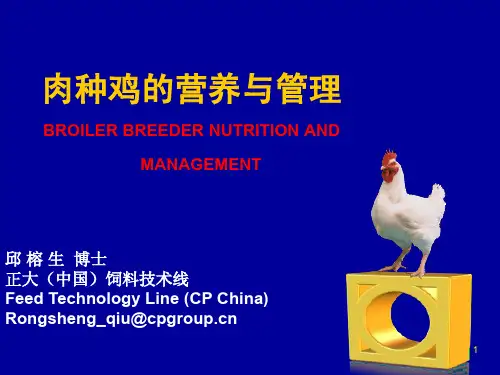 肉种鸡营养与管理-邱榕生博士