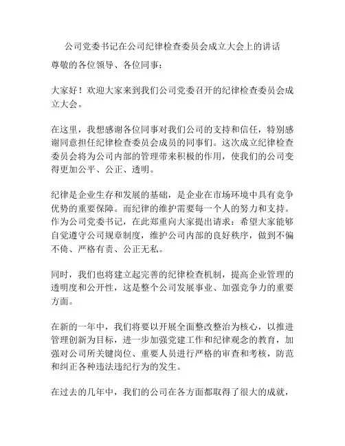 公司党委书记在公司纪律检查委员会成立大会上的讲话