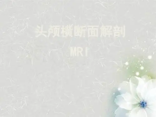 颅脑MRI断层解剖和影像