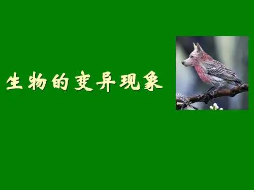 六年级下 生物的变异现象 苏教版实用PPT (共59张PPT)
