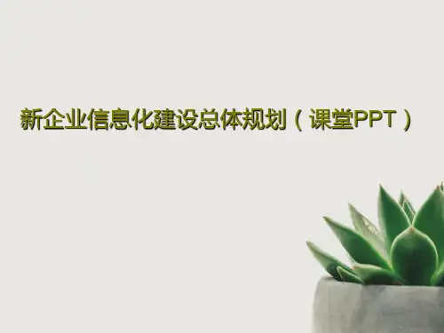 新企业信息化建设总体规划(课堂PPT)共57页