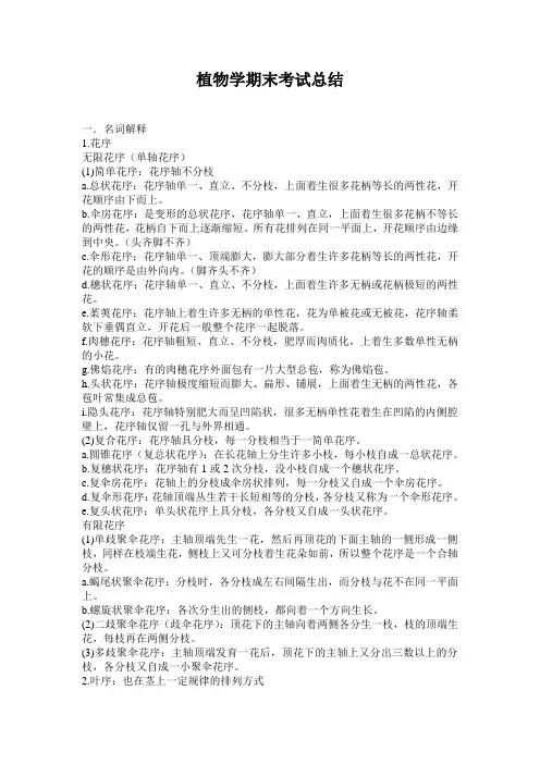 植物学期末考试总结