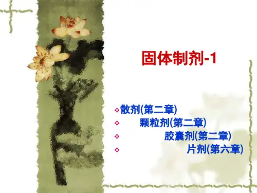 药剂学基础课件——固体制剂(人卫版)