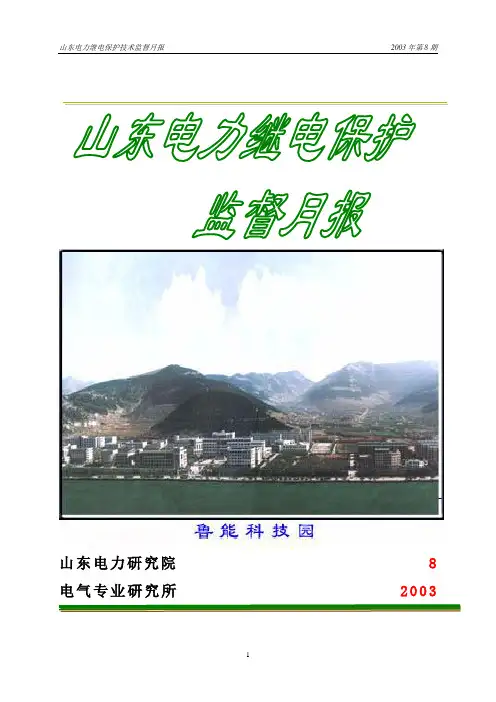 二十五项反措实施细则(继电保护)