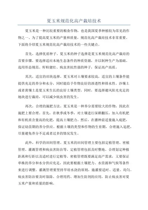 夏玉米规范化高产栽培技术