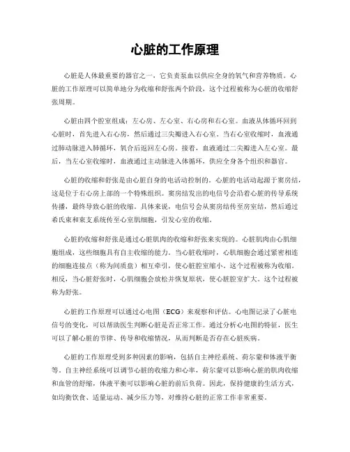 心脏的工作原理