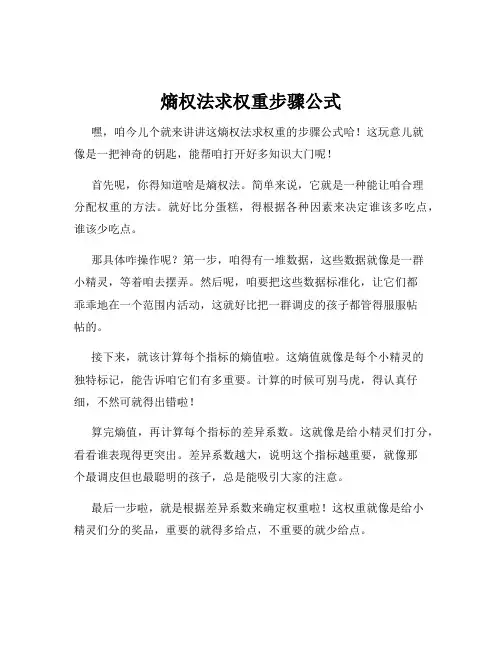 熵权法求权重步骤公式
