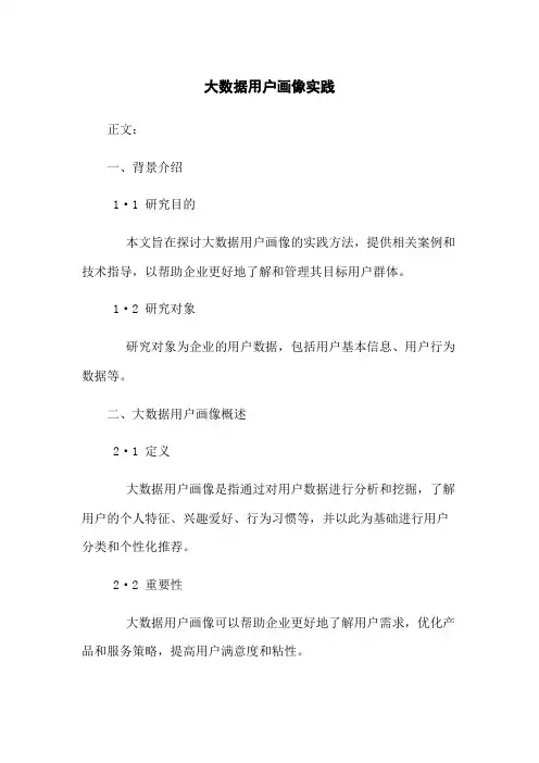 大数据用户画像实践