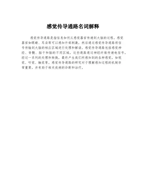 感觉传导通路名词解释