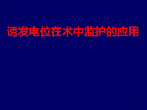 诱发电位在术中监护的应用ppt课件