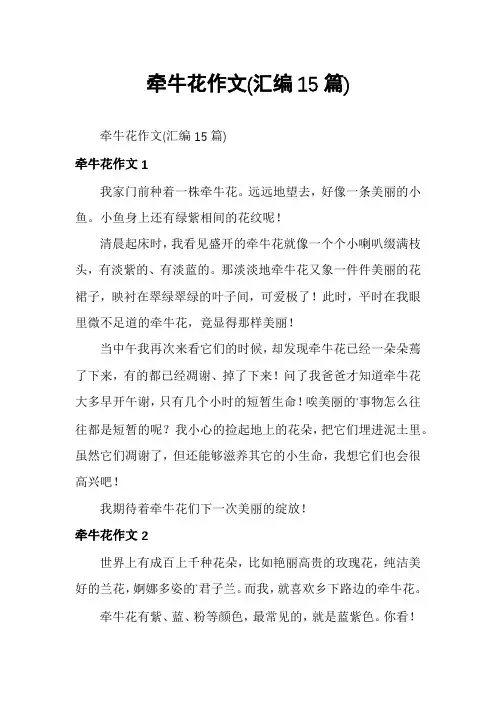 牵牛花作文(汇编15篇)
