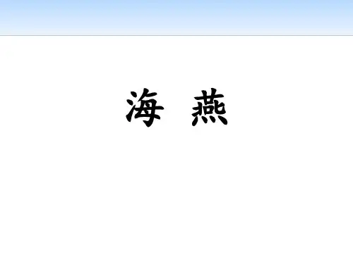 部编版九年级下册语文《海燕》PPT教学课件