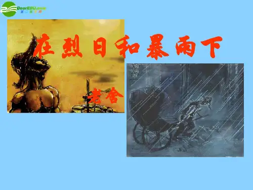 公开课教案教学设计课件苏教初中语文九上《在烈日和暴雨下》PPT课件 (四)