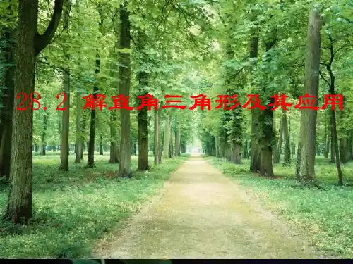 解直角三角形