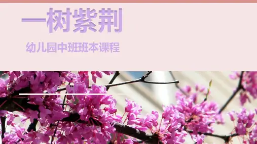 《一树紫荆》幼儿园班本课程PPT课件