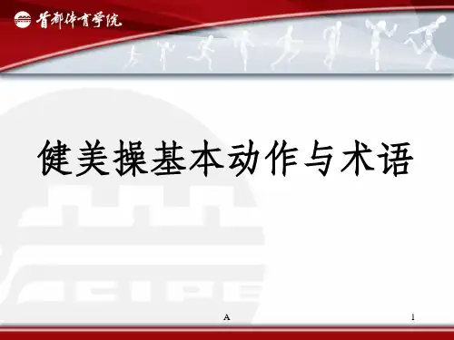 健美操基本动作与术语