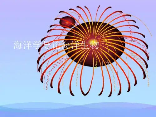 海洋学导论海洋生物(精品资料)PPT