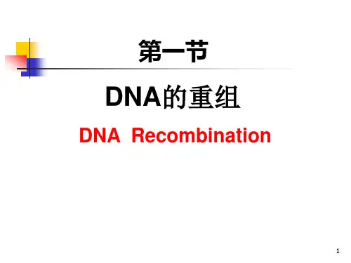 基因重组和基因工程课件