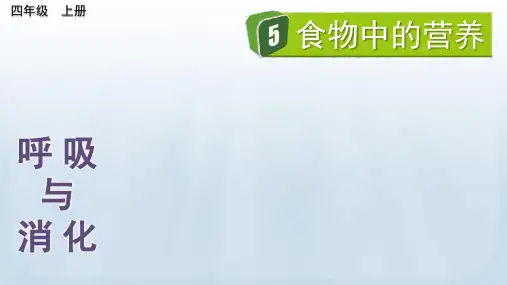 四年级科学上册教学课件《食物中的营养》