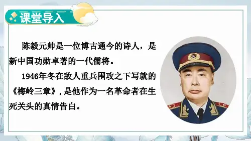 《梅岭三章》ppt课件