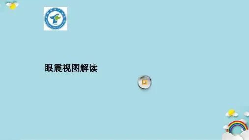 眼震视图解读课件