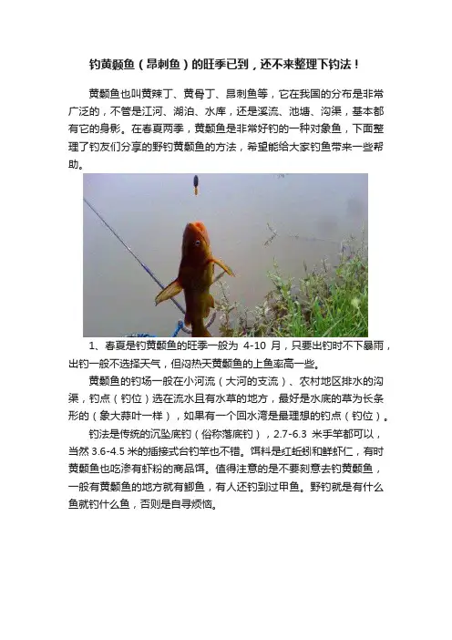 钓黄颡鱼（昂刺鱼）的旺季已到，还不来整理下钓法！