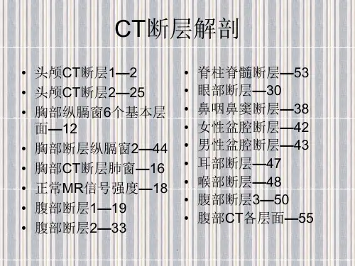 CT断层解剖