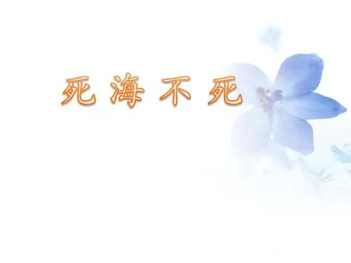 《死海不死》课件