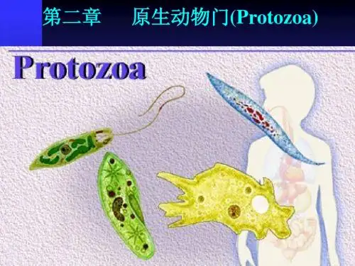 第二章 原生动物门
