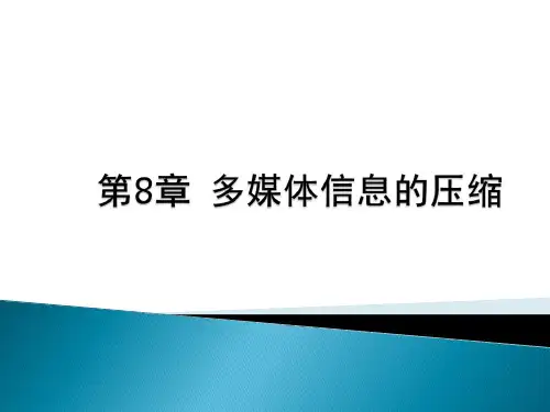 多媒体数据压缩技术