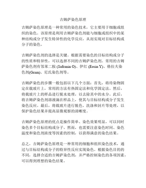 吉姆萨染色原理