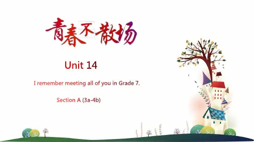 Unit 14 第2课时 Section A(3a-4b)【课件】九年级英语全一册(人教版)