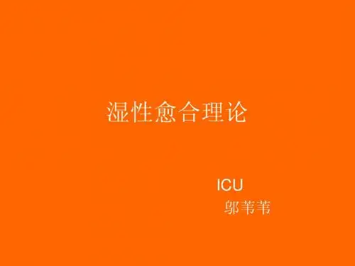 湿性愈合理论.ppt2003