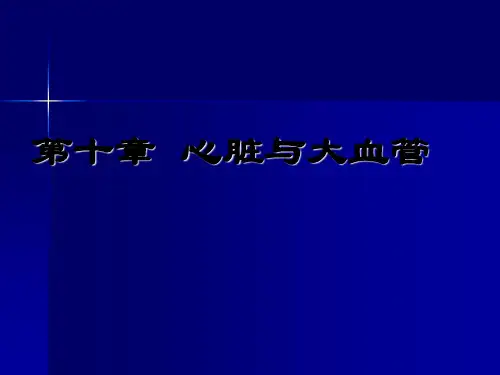 第四篇  循环系统1