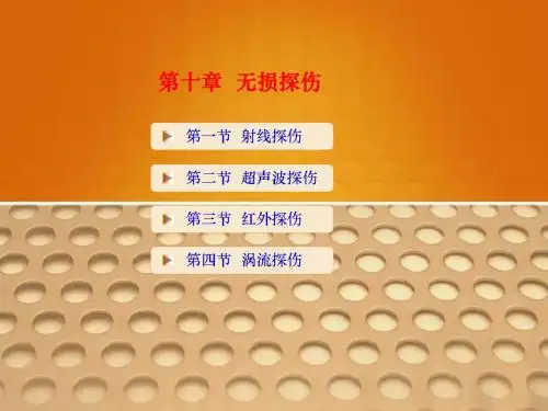 检测与转换技术-第10章 无损探伤