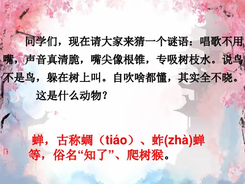 《蝉》ppt课件
