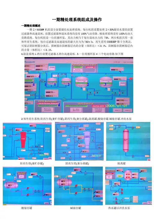 发电厂凝结水精处理系统讲义