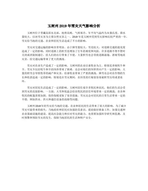 玉树州2019年雪灾天气影响分析