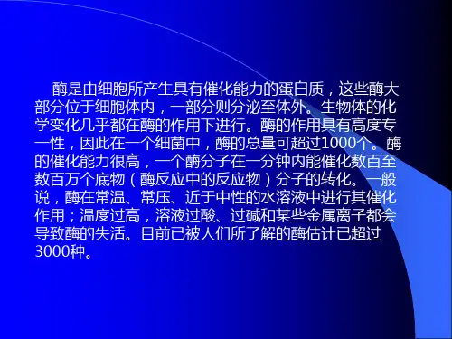 食品生物技术基础-酶工程新.ppt