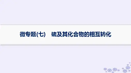 浙江专版2025届高考化学一轮总复习第4章非金属及其化合物微专题七硫及其化合物的相互转化课件新人教版