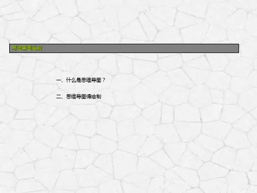 思维导图培训课程PPT模板介绍应用教学课程教育课件头脑风暴 (44)